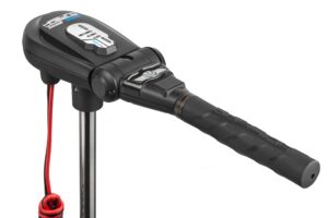 Лодочный электромотор Haswing Protruar 3.0 110 24V